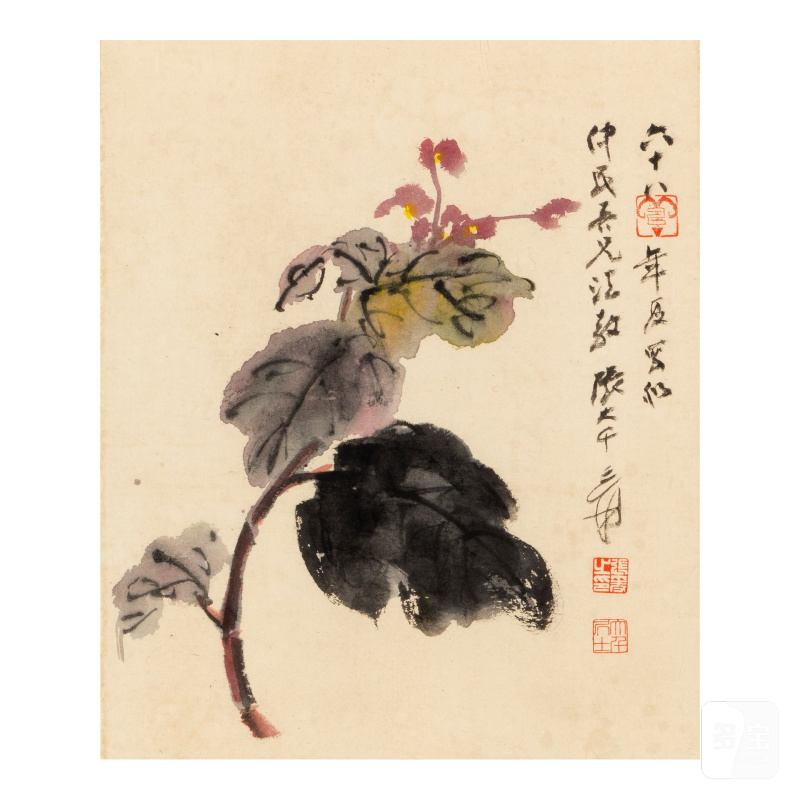 張大千（1899-1983） 沒骨花卉 設色紙本 鏡框 一九七八年作 | ZHANG DAQIAN (1899-1983)